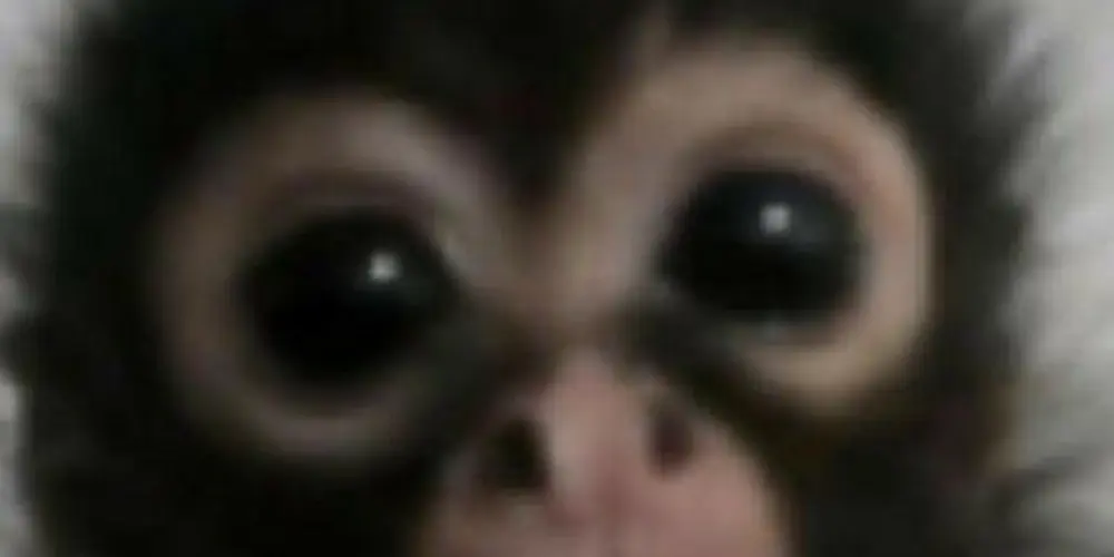 Imagem do grupo de WhatsApp Só os desocupados ✊🏻😮‍💨