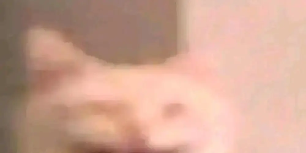 Imagem do grupo de WhatsApp Só os do caps🤭