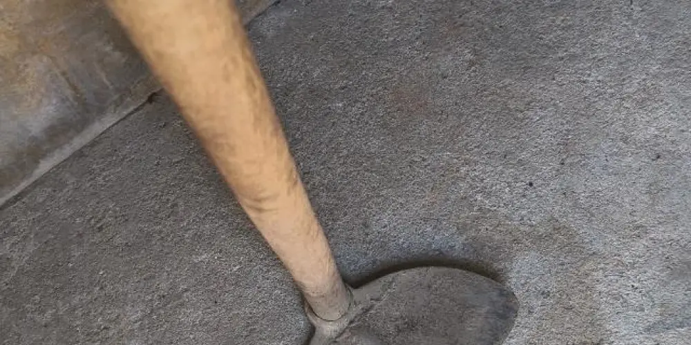 Imagem do grupo de WhatsApp Só os doido 😁