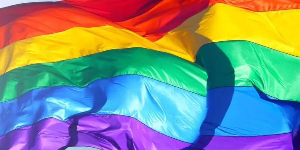 Imagem do grupo de WhatsApp Só os gays 🏳️‍🌈