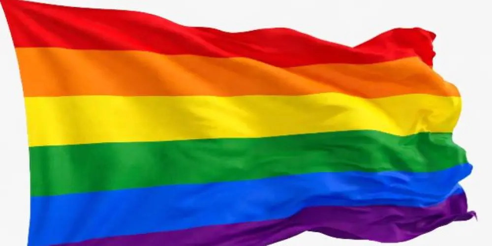 Imagem do grupo de WhatsApp Só os Gays