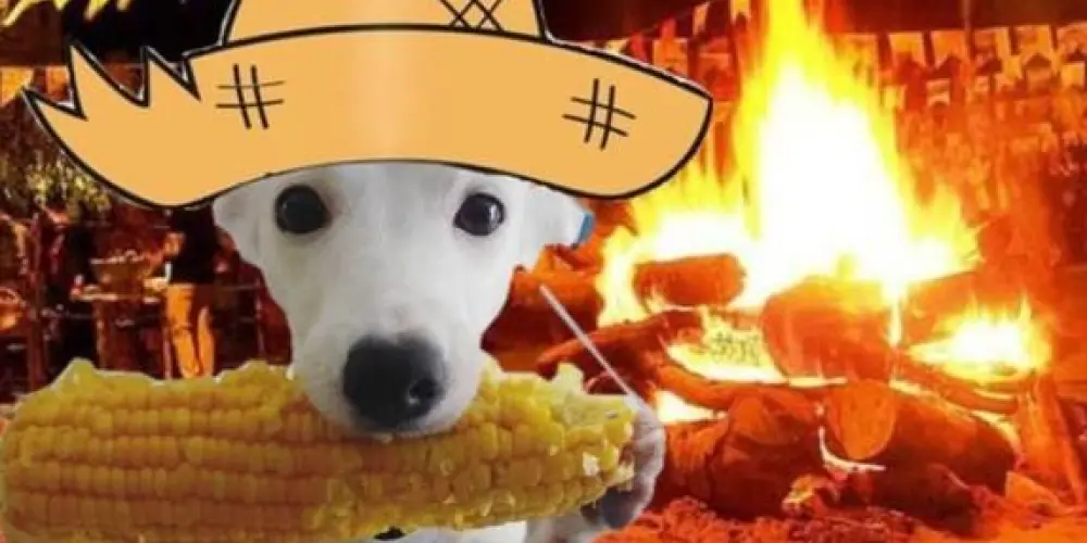 Imagem do grupo de WhatsApp Só os lindos