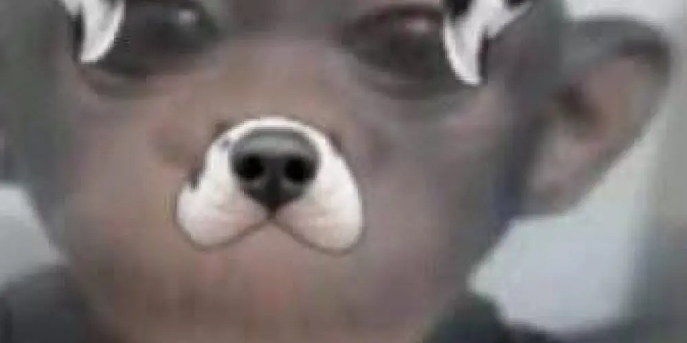 Imagem do grupo de WhatsApp Só os Loucos