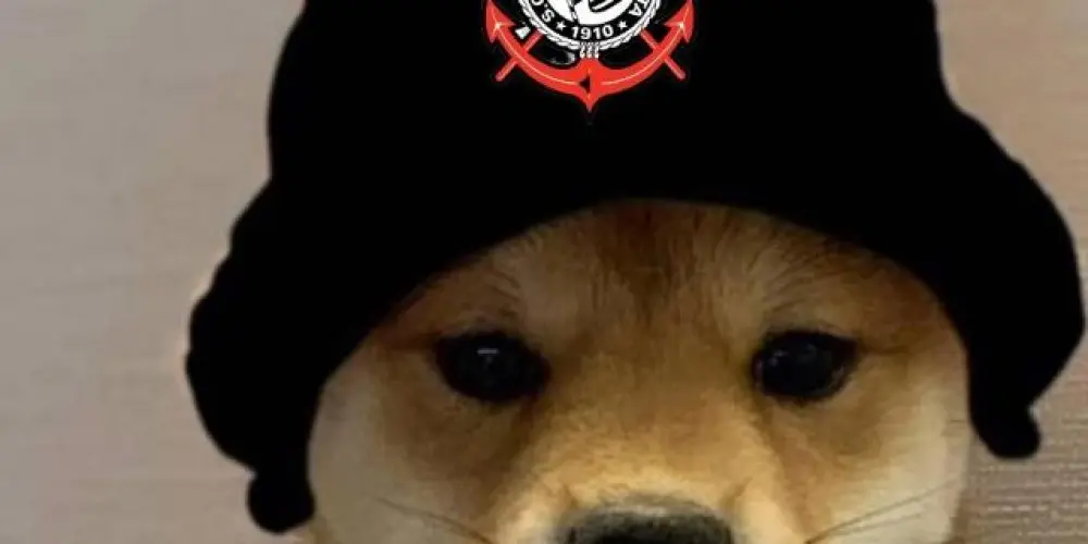 Imagem do grupo de WhatsApp Só os loucos do bando 🦅