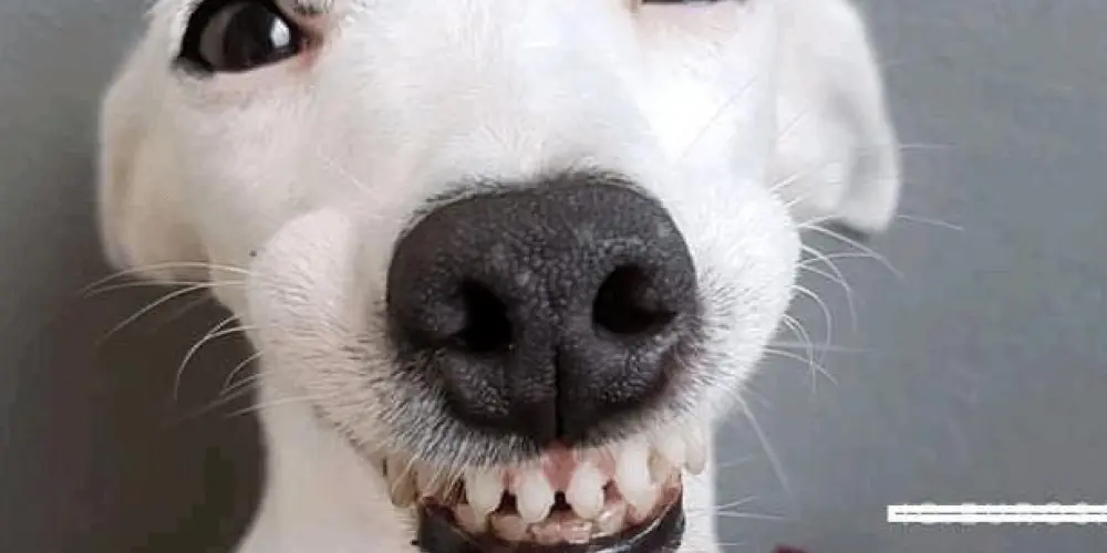 Imagem do grupo de WhatsApp SÓ OS MAIS MAIS 🤟🏻😜