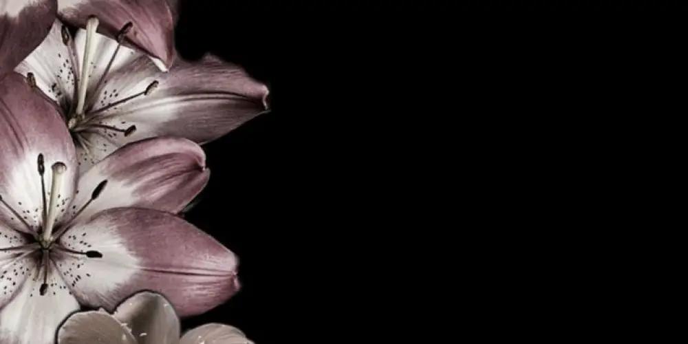 Imagem do grupo de WhatsApp só os paneleiro 😝