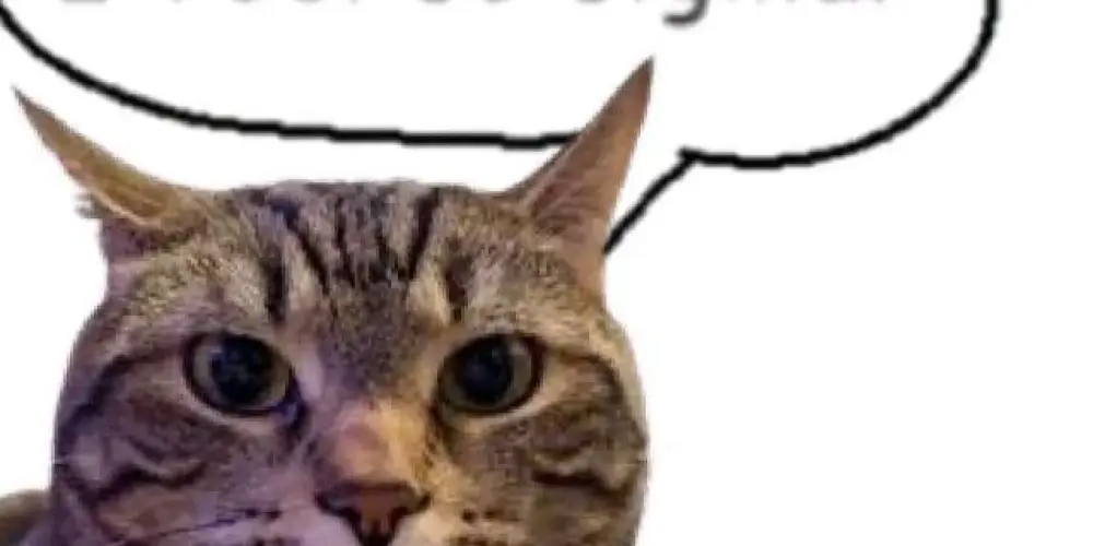 Imagem do grupo de WhatsApp só os Sigma 🗿🍷