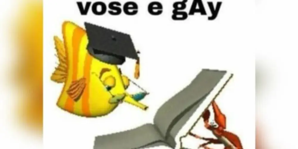 Imagem do grupo de WhatsApp só os xit 💯