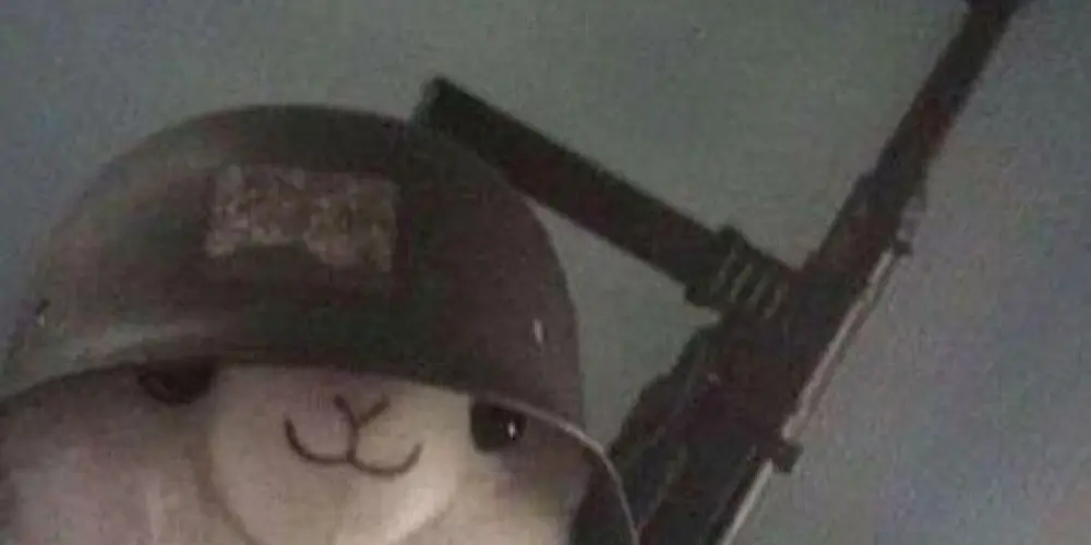 Imagem do grupo de WhatsApp Só pela zueira