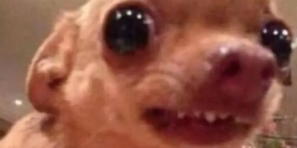 Imagem do grupo de WhatsApp 📢🔇So PrEjUiZo💢