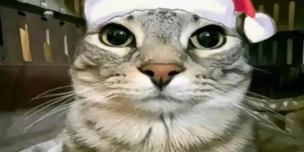 Imagem do grupo de WhatsApp SÓ RESENHA 🤟🏻