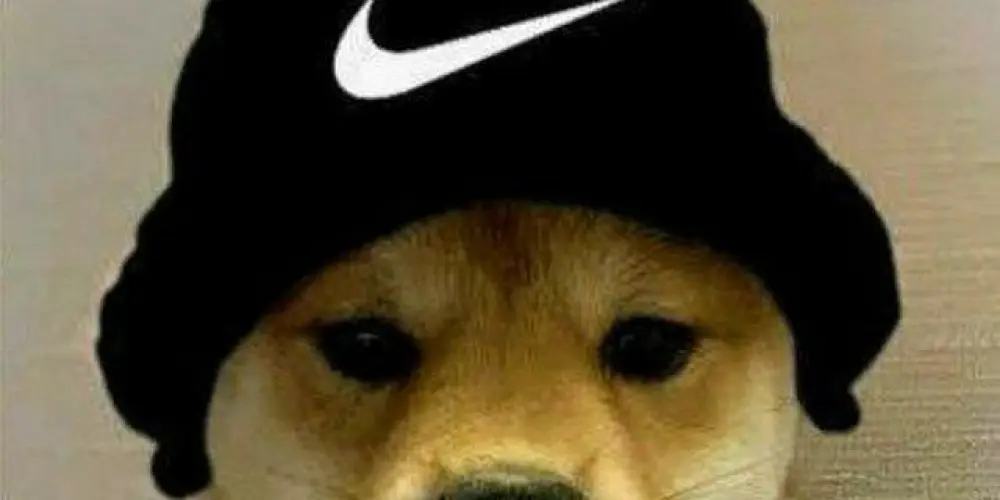 Imagem do grupo de WhatsApp SÓ RESENHA