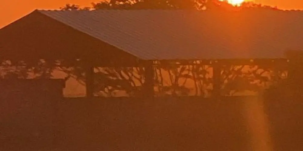 Imagem do grupo de WhatsApp Só resenha