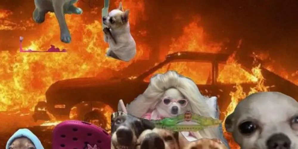 Imagem do grupo de WhatsApp SÓ RESENHA