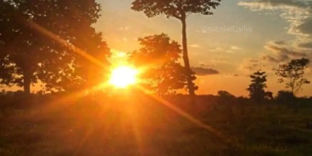 Imagem do grupo de WhatsApp Só vídeo engraçado