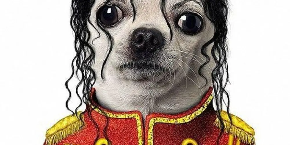 Imagem do grupo de WhatsApp Só zoando 🫠