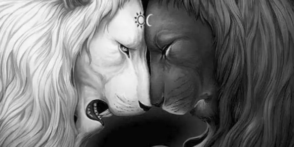 Imagem do grupo de WhatsApp Só zoeira de amigos💯