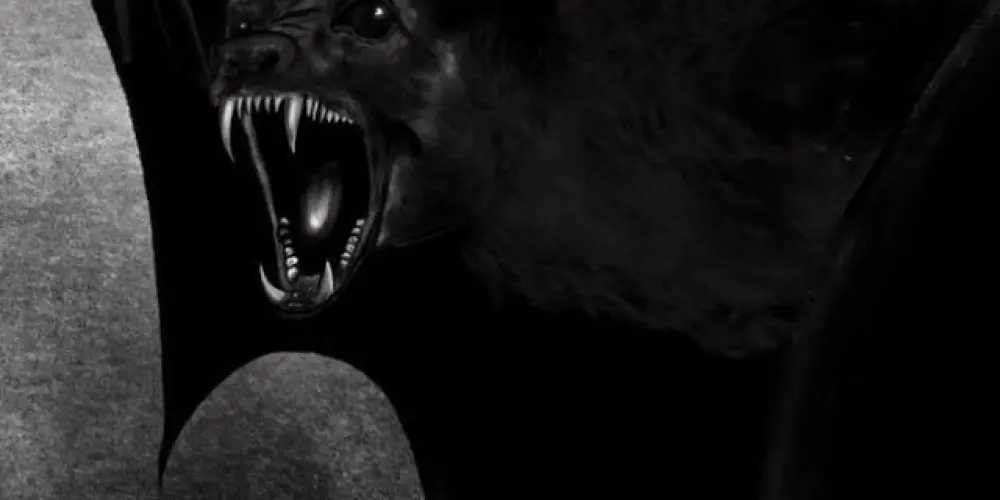 Imagem do grupo de WhatsApp Sobrenatural e magia