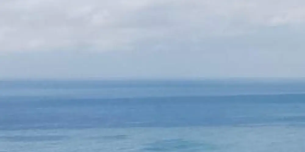 Imagem do grupo de WhatsApp Social✅