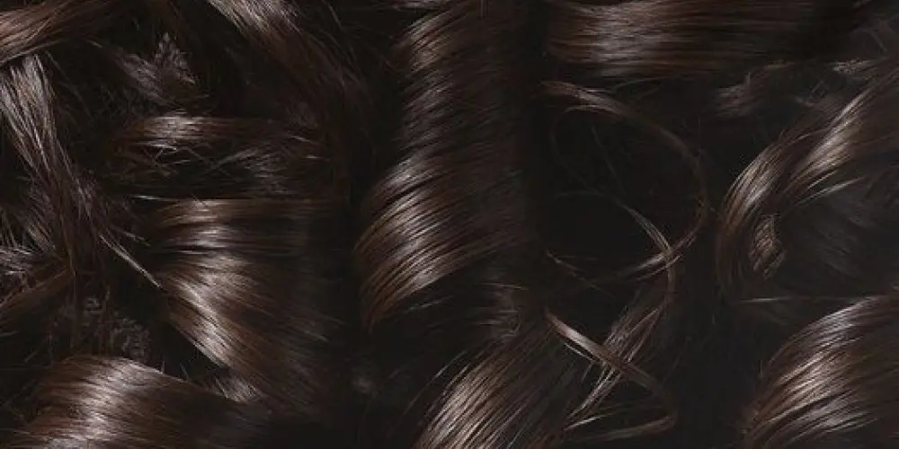 Imagem do grupo de WhatsApp Socialização