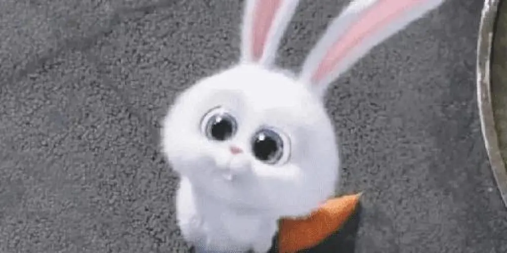 Imagem do grupo de WhatsApp Software Chat 👑