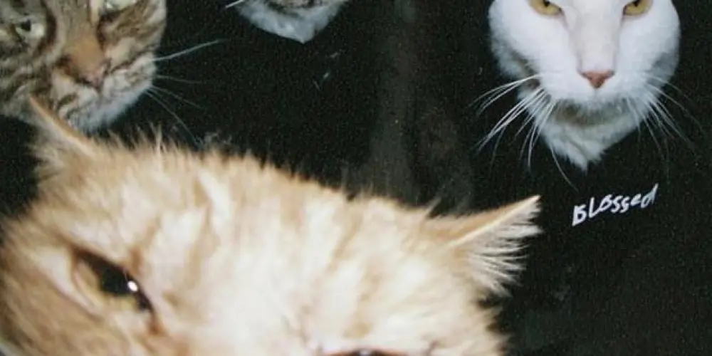 Imagem do grupo de WhatsApp SOLITÁRIOS 💯💥