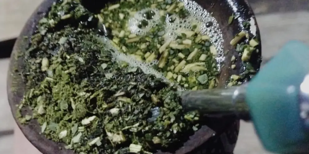 Imagem do grupo de WhatsApp Solteiros