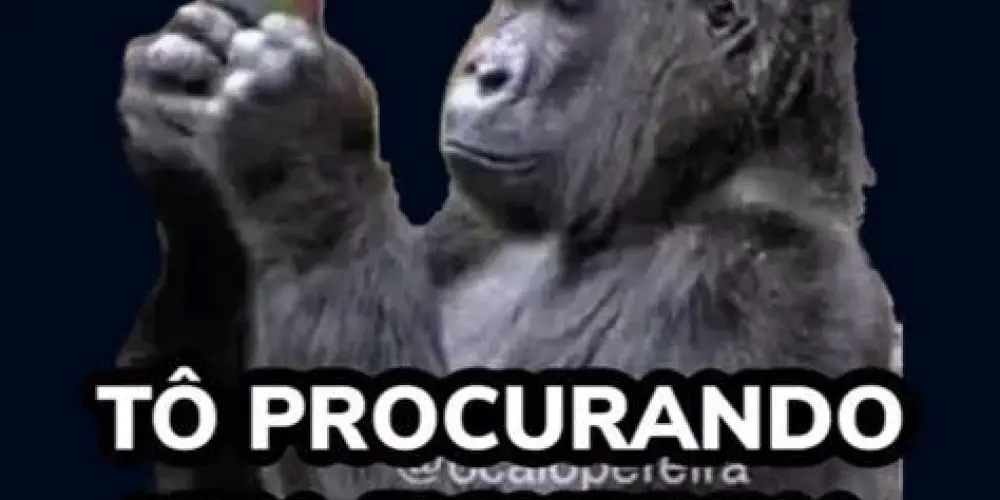 Imagem do grupo de WhatsApp Somente figurinha😀