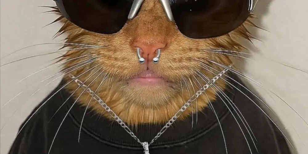 Imagem do grupo de WhatsApp Somo amigue