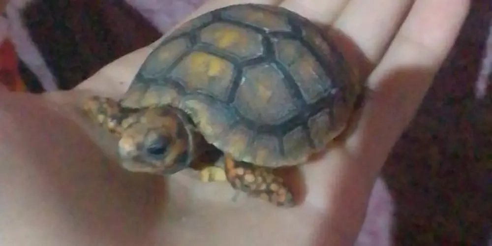 Imagem do grupo de WhatsApp SOMOS RICHES💵