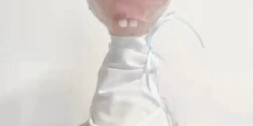 Imagem do grupo de WhatsApp Sorrisos & Caos