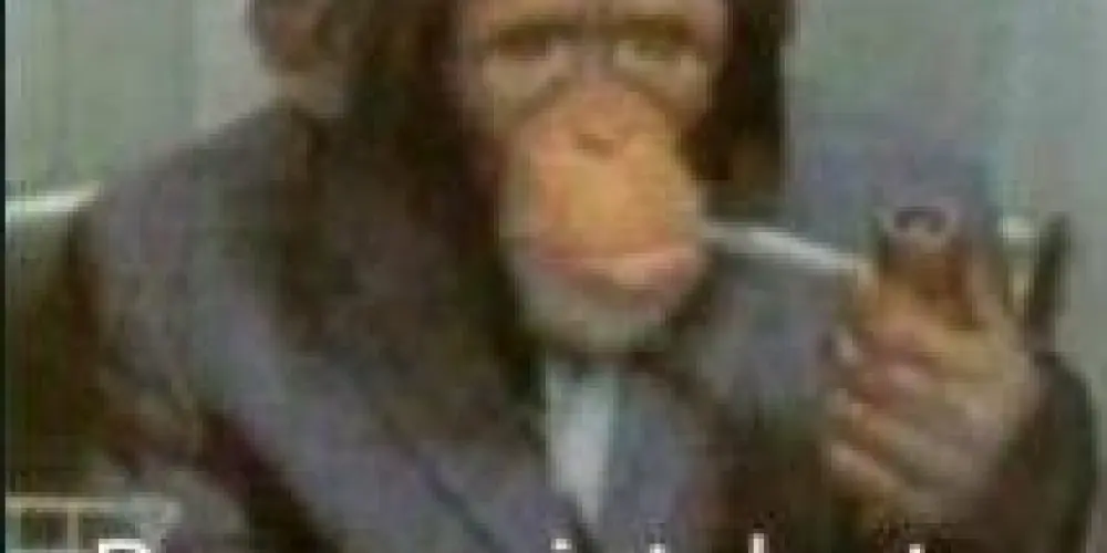 Imagem do grupo de WhatsApp ᴇsǫᴜɪᴢᴏsꨄ︎