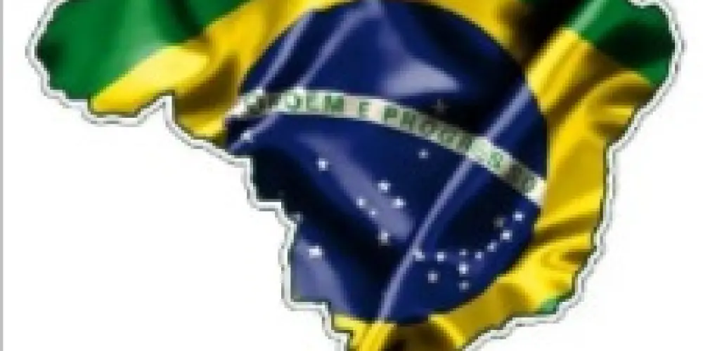 Imagem do grupo de WhatsApp SOS Brasil - Direita Liberal - Campinas