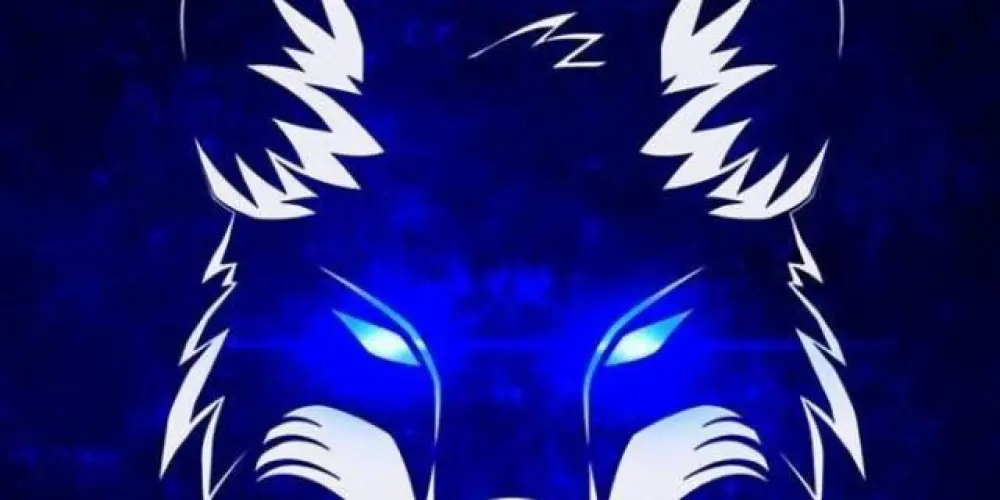 Imagem do grupo de WhatsApp SOU CRUZEIRO E.C