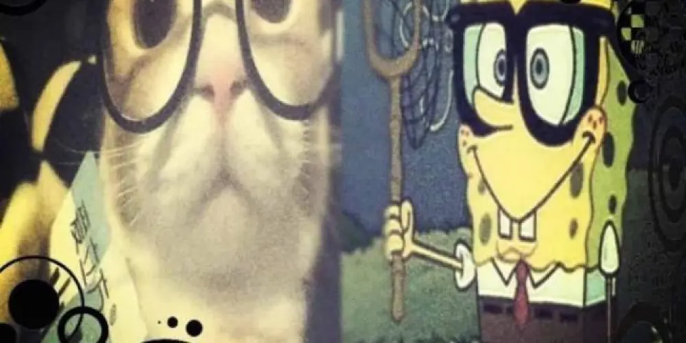 Imagem do grupo de WhatsApp ᴘsʏᴄʜᴏpä'th #ᴄʜᴀᴛ