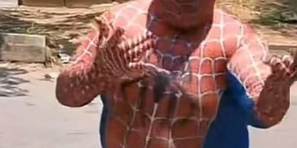 Imagem do grupo de WhatsApp 🕷️ Spider friends 🕸️