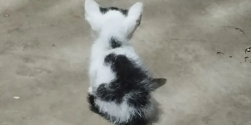 Imagem do grupo de WhatsApp SPIT IN MY FACE