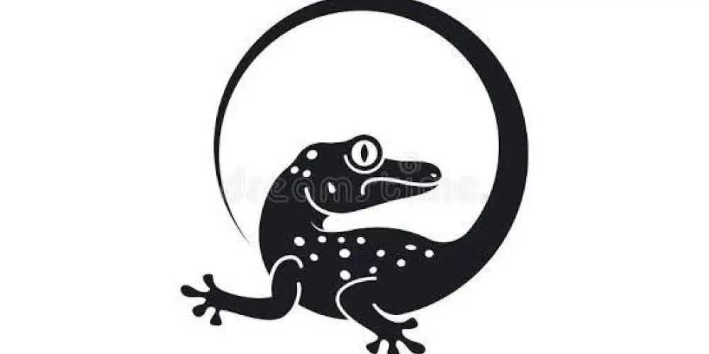 Imagem do grupo de WhatsApp Sport Club Lagartixa SP