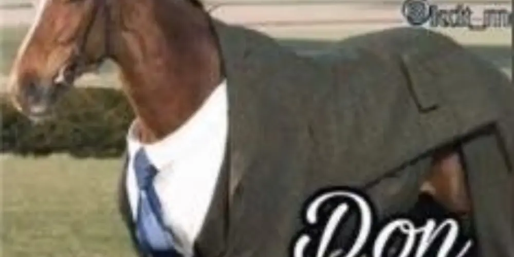 Imagem do grupo de WhatsApp SQUAD MILL GRAU