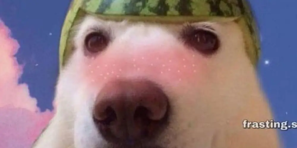 Imagem do grupo de WhatsApp 👻 ɢʀᴜᴘᴏ ᴄᴜʀᴀ ᴅᴇᴘʀᴇssɪᴠᴏ 👅