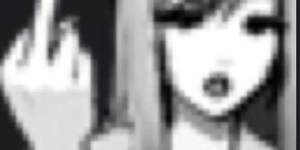 Imagem do grupo de WhatsApp ™♱sᴡᴇᴇᴛs-ᴄʜᴀᴛ╰☆╮