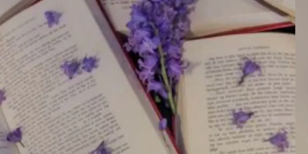 Imagem do grupo de WhatsApp ♥︎︎‿︎♥︎︎︎ʙᴇɪᴊᴏs&ᴅʀᴀɢᴏ̄ᴇs♥︎︎‿︎♥︎︎︎