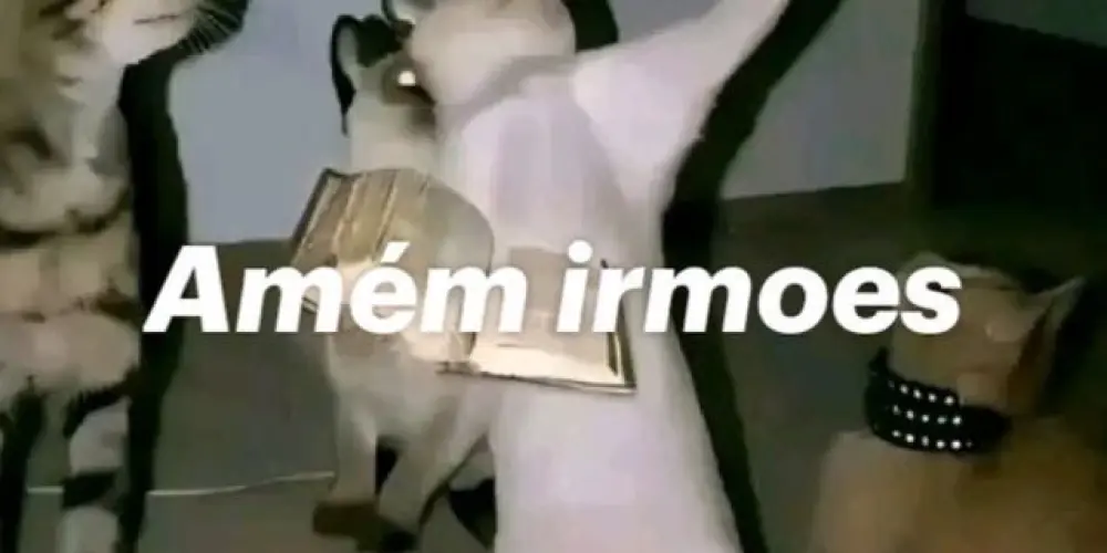 Imagem do grupo de WhatsApp ᴛʀɪᴀɴɢᴜʟᴏㅤᴅᴏsㅤᴍᴀʟᴜᴄᴏs ┋ ✿