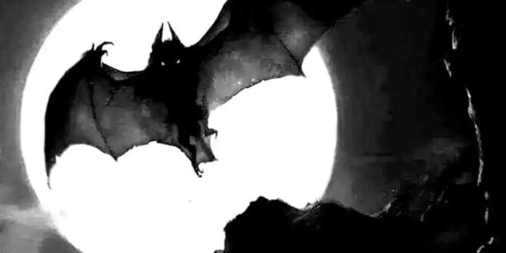 Imagem do grupo de WhatsApp 路      𝟬𝟵   :    SΣᎠ̶Ս̷C꯭T꯭𝗜𝗩꯭𝗘  𝖅.  Λtrɑ͜͡ͻtivɘ