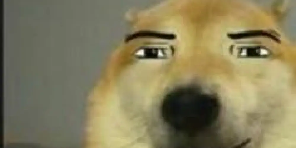 Imagem do grupo de WhatsApp 🌴 SᕮT ᗞᗩ ᖇᕮSᕮᑎᕼᗩ ͟͟͞͞³²⁸˚🎭🌴