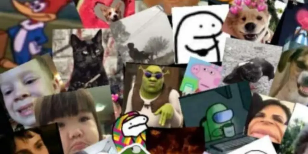 Imagem do grupo de WhatsApp Star Love💕