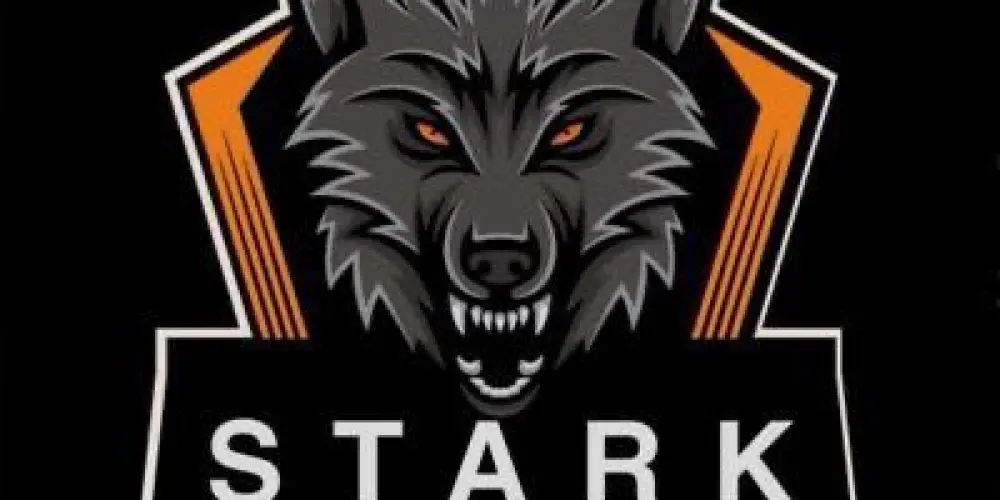 Imagem do grupo de WhatsApp STARK ᵍᵃᵐⁱⁿᵍ   RECRUTANDO
