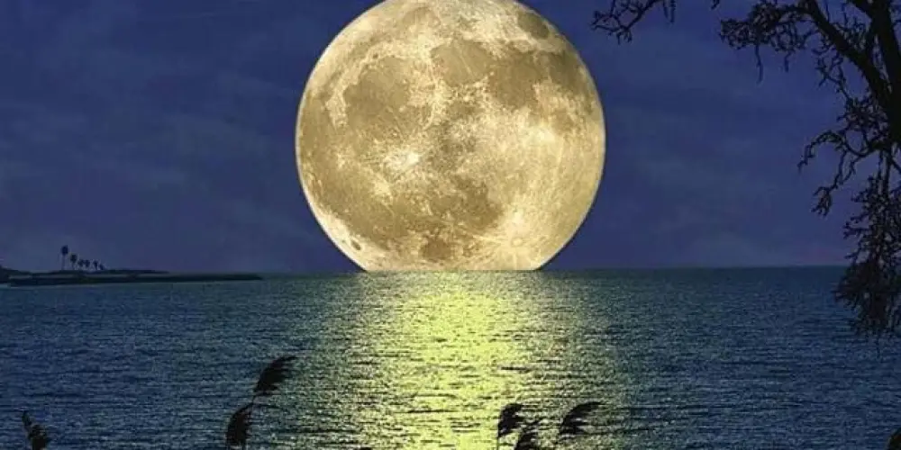 Imagem do grupo de WhatsApp 💫STARMOON REVIVAL ⭐✨