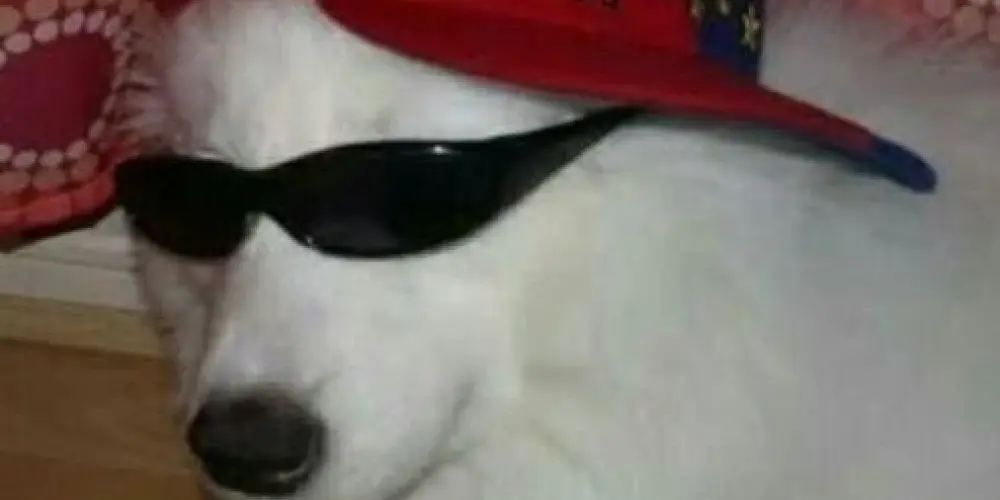 Imagem do grupo de WhatsApp STATUS DO JB 🖤