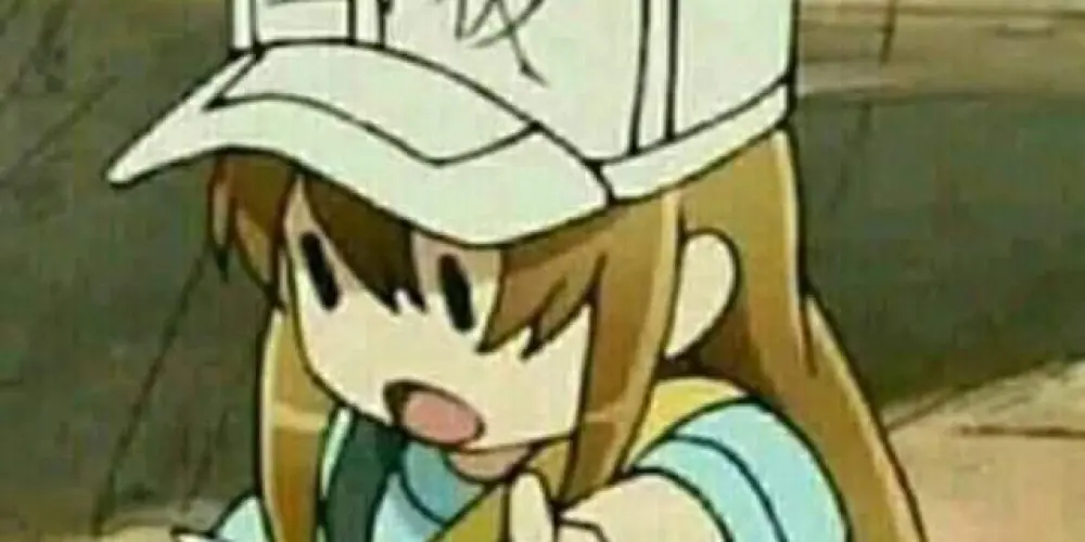 Imagem do grupo de WhatsApp STELLA SORA